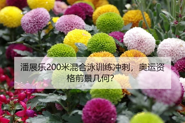 潘展乐200米混合泳训练冲刺，奥运资格前景几何？