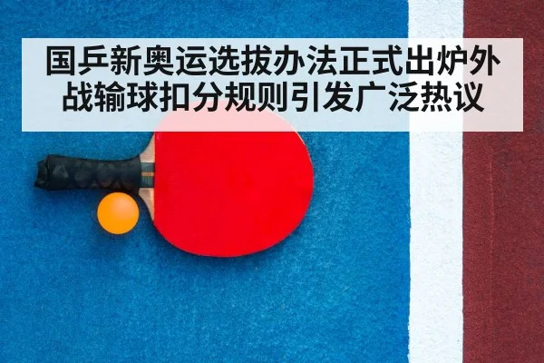 table tennis racket