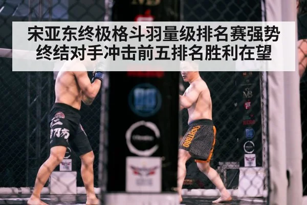 MMA cage fight